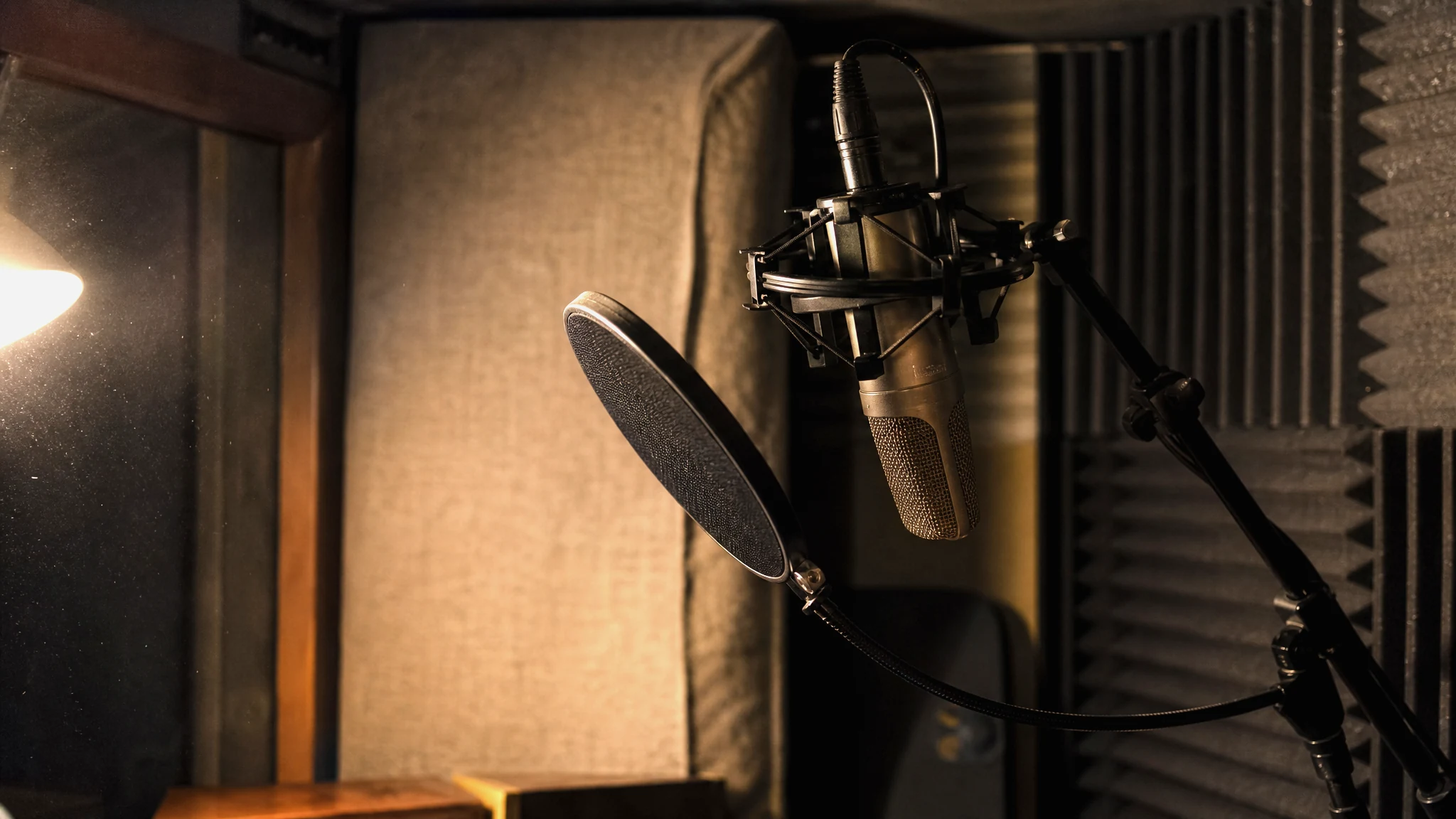 Condenser microphone with a pop filter angled slightly off the singer's mouth in a treated vocal booth